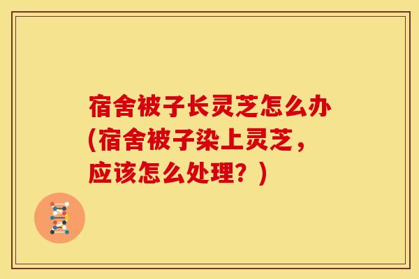 宿舍被子长灵芝怎么办(宿舍被子染上灵芝,应该怎么处理?)