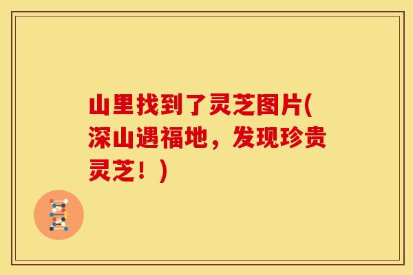 山里找到了灵芝图片(深山遇福地,发现珍贵灵芝!)