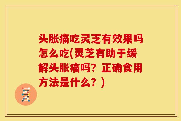 头胀痛吃灵芝有效果吗怎么吃(灵芝有助于缓解头胀痛吗?正确食用方法是什么?)