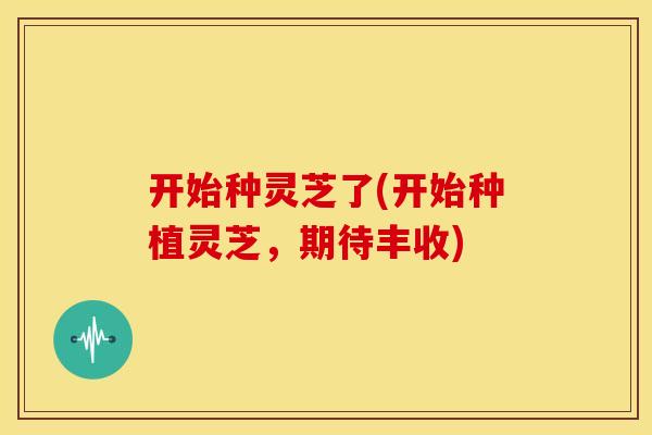 开始种灵芝了(开始种植灵芝,期待丰收)