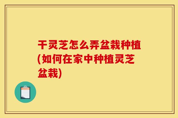 干灵芝怎么弄盆栽种植(如何在家中种植灵芝盆栽)