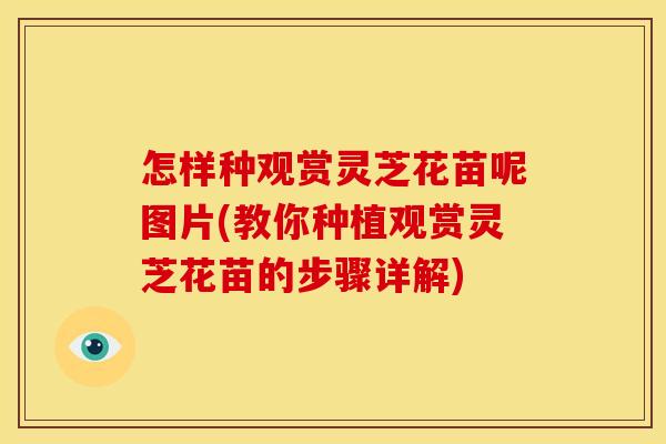 怎样种观赏灵芝花苗呢图片(教你种植观赏灵芝花苗的步骤详解)