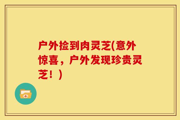 户外捡到肉灵芝(意外惊喜,户外发现珍贵灵芝!)