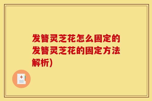 发簪灵芝花怎么固定的发簪灵芝花的固定方法解析)