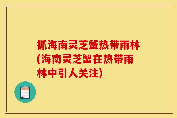 抓海南灵芝蟹热带雨林(海南灵芝蟹在热带雨林中引人关注)