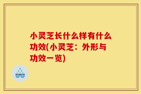 小灵芝长什么样有什么功效(小灵芝:外形与功效一览)