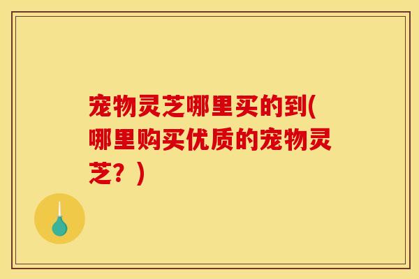 宠物灵芝哪里买的到(哪里购买优质的宠物灵芝？)