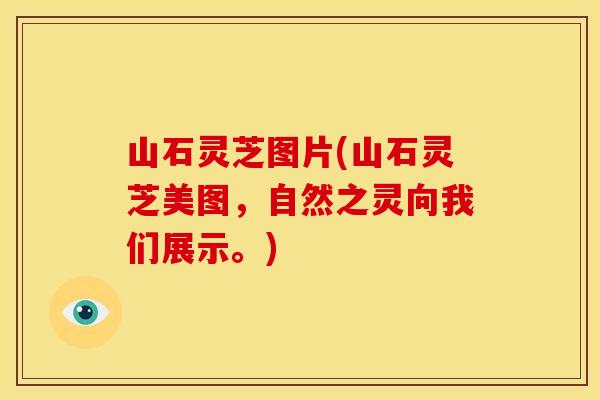 山石灵芝图片(山石灵芝美图,自然之灵向我们展示。)