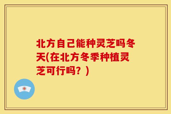 北方自己能种灵芝吗冬天(在北方冬季种植灵芝可行吗?)