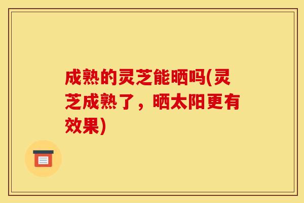 成熟的灵芝能晒吗(灵芝成熟了，晒太阳更有效果)