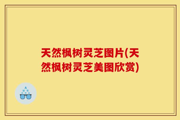 天然枫树灵芝图片(天然枫树灵芝美图欣赏)