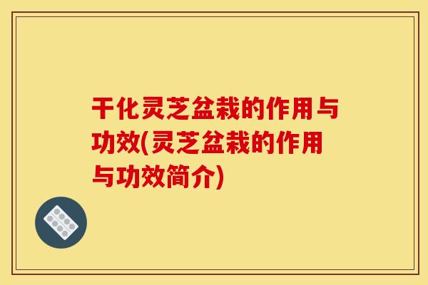 干化灵芝盆栽的作用与功效(灵芝盆栽的作用与功效简介)