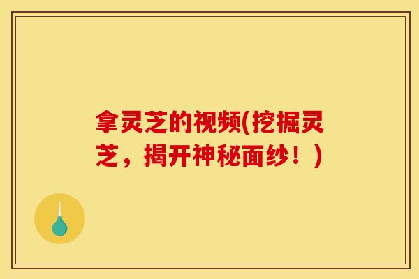 拿灵芝的视频(挖掘灵芝,揭开神秘面纱!)