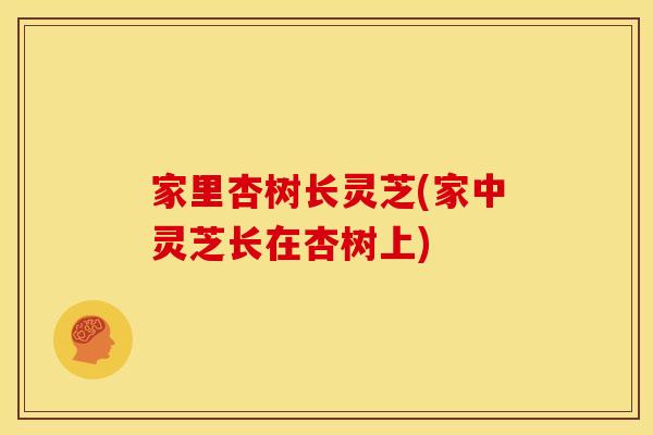 家里杏树长灵芝(家中灵芝长在杏树上)