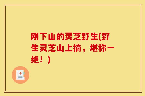 刚下山的灵芝野生(野生灵芝山上摘，堪称一绝！)