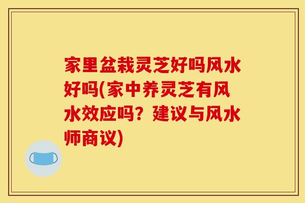 家里盆栽灵芝好吗风水好吗(家中养灵芝有风水效应吗？建议与风水师商议)