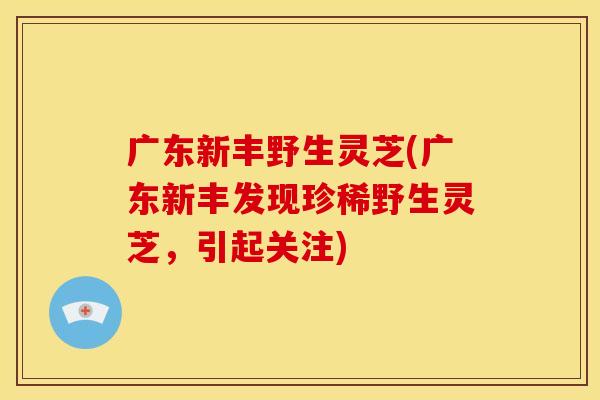 广东新丰野生灵芝(广东新丰发现珍稀野生灵芝,引起关注)