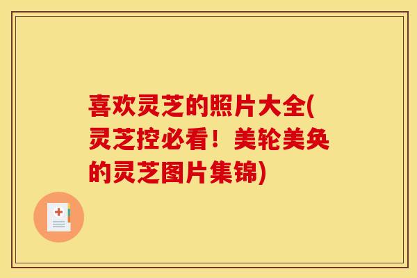 喜欢灵芝的照片大全(灵芝控必看!美轮美奂的灵芝图片集锦)