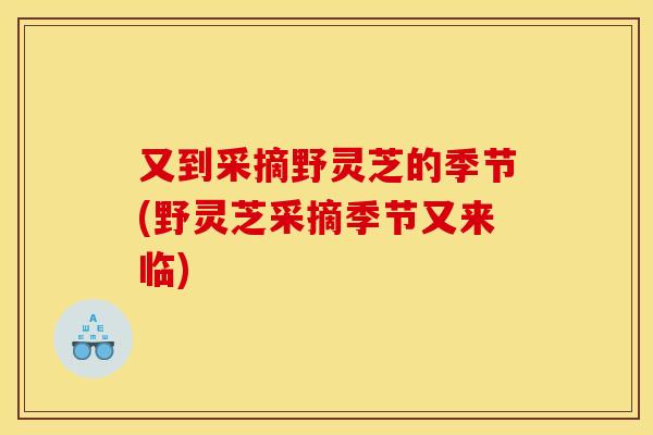 又到采摘野灵芝的季节(野灵芝采摘季节又来临)