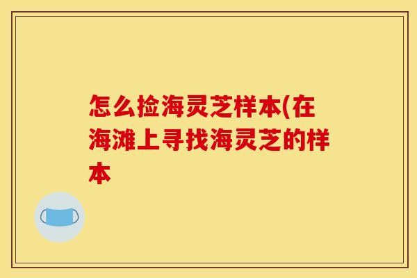 怎么捡海灵芝样本(在海滩上寻找海灵芝的样本
