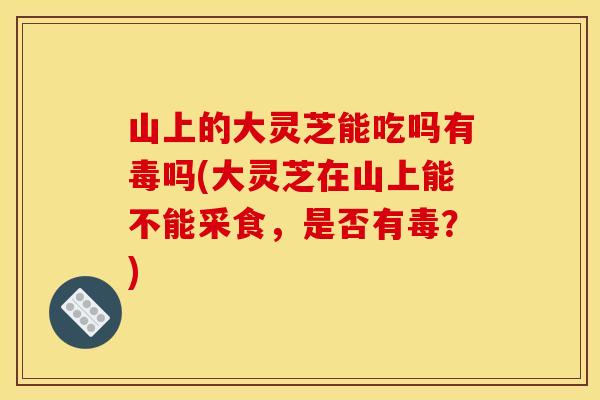 山上的大灵芝能吃吗有毒吗(大灵芝在山上能不能采食,是否有毒?)