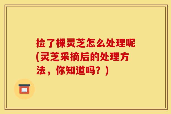 捡了棵灵芝怎么处理呢(灵芝采摘后的处理方法,你知道吗?)