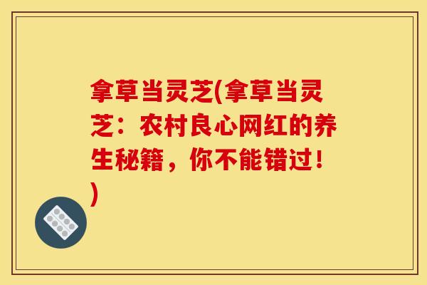 拿草当灵芝(拿草当灵芝：农村良心网红的养生秘籍，你不能错过！)