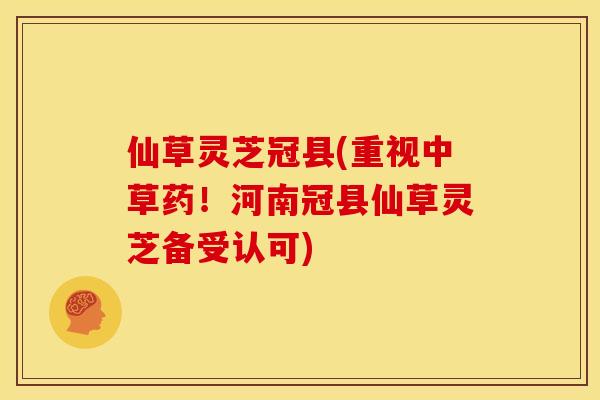 仙草灵芝冠县(重视中草药!河南冠县仙草灵芝备受认可)