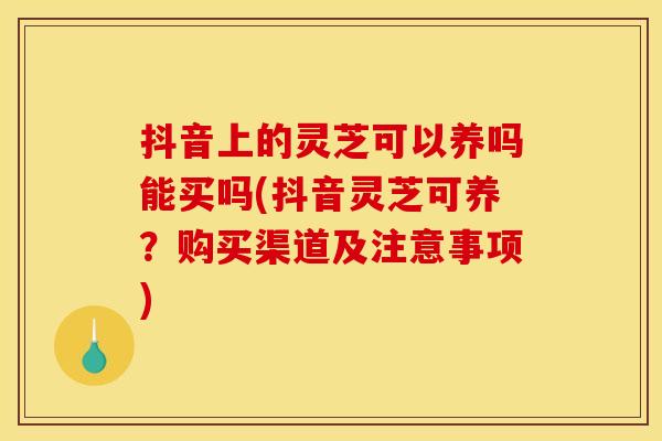 抖音上的灵芝可以养吗能买吗(抖音灵芝可养?购买渠道及注意事项)