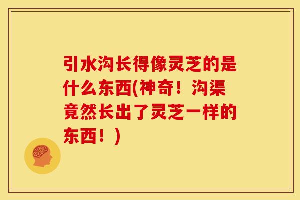 引水沟长得像灵芝的是什么东西(神奇!沟渠竟然长出了灵芝一样的东西!)