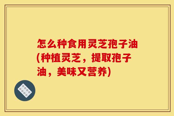 怎么种食用灵芝孢子油(种植灵芝，提取孢子油，美味又营养)