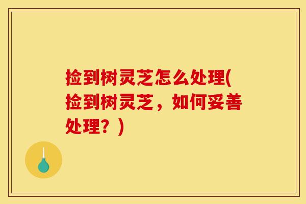 捡到树灵芝怎么处理(捡到树灵芝,如何妥善处理?)