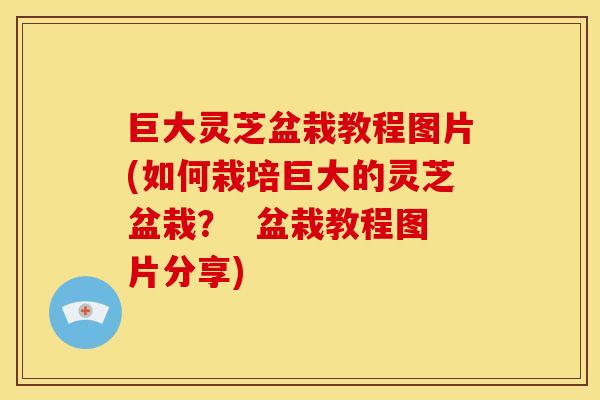 巨大灵芝盆栽教程图片(如何栽培巨大的灵芝盆栽？  盆栽教程图片分享)
