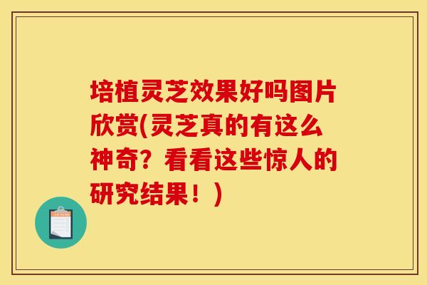 培植灵芝效果好吗图片欣赏(灵芝真的有这么神奇？看看这些惊人的研究结果！)
