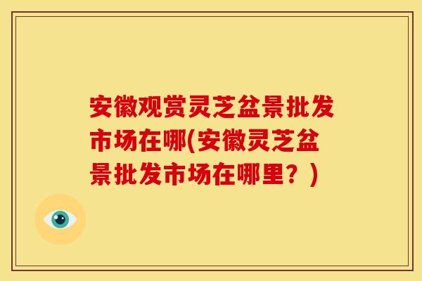 安徽观赏灵芝盆景批发市场在哪(安徽灵芝盆景批发市场在哪里？)