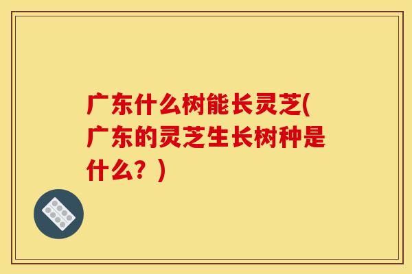 广东什么树能长灵芝(广东的灵芝生长树种是什么？)