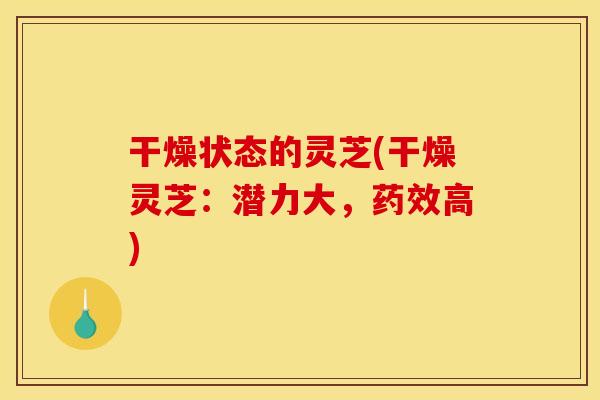 干燥状态的灵芝(干燥灵芝:潜力大,药效高)