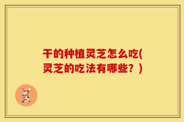 干的种植灵芝怎么吃(灵芝的吃法有哪些?)