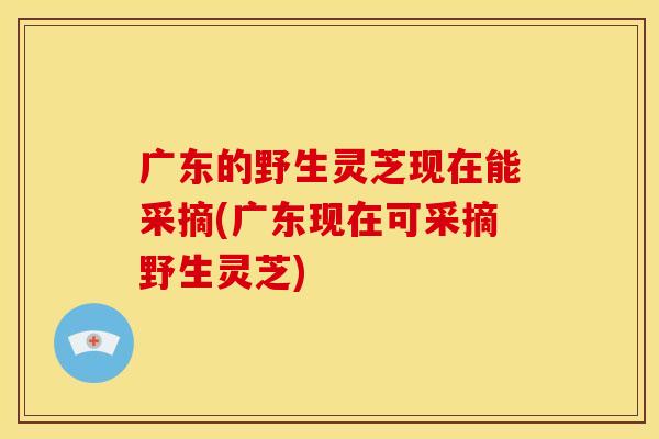 广东的野生灵芝现在能采摘(广东现在可采摘野生灵芝)