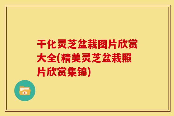 干化灵芝盆栽图片欣赏大全(精美灵芝盆栽照片欣赏集锦)