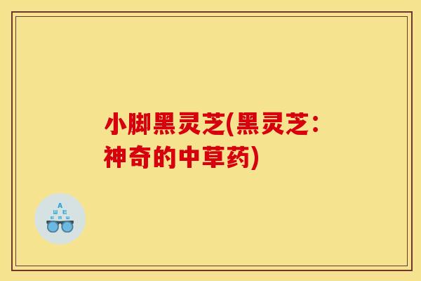 小脚黑灵芝(黑灵芝:神奇的中草药)
