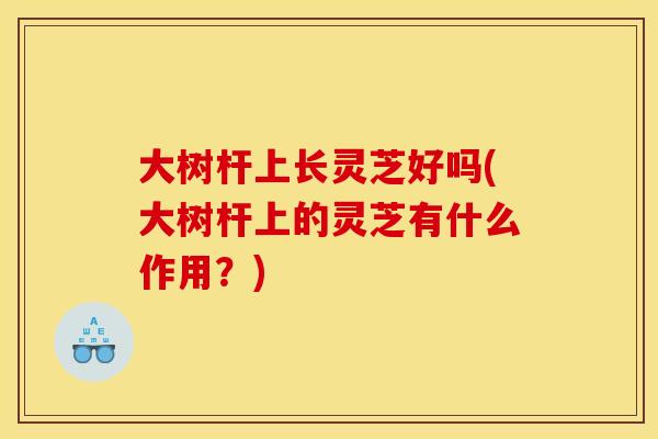 大树杆上长灵芝好吗(大树杆上的灵芝有什么作用？)