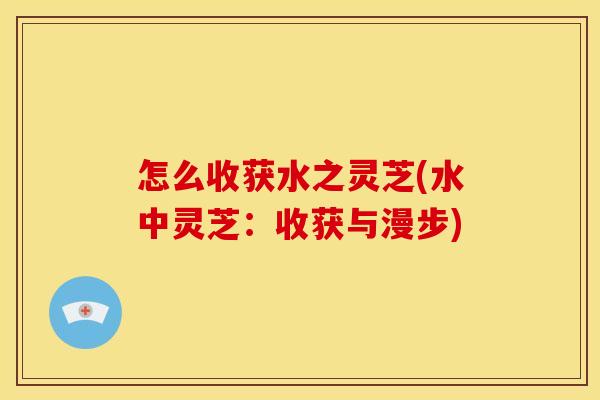怎么收获水之灵芝(水中灵芝:收获与漫步)