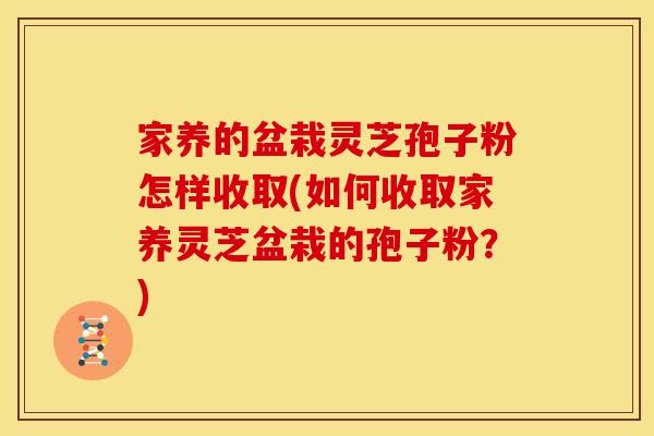 家养的盆栽灵芝孢子粉怎样收取(如何收取家养灵芝盆栽的孢子粉?)