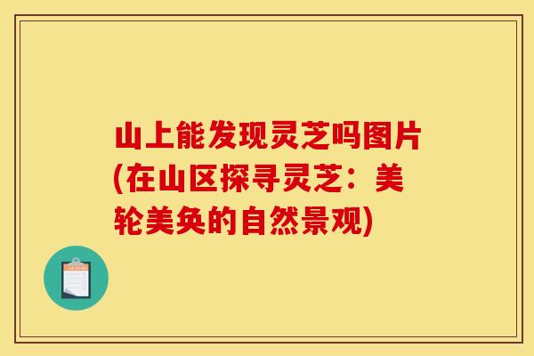 山上能发现灵芝吗图片(在山区探寻灵芝:美轮美奂的自然景观)