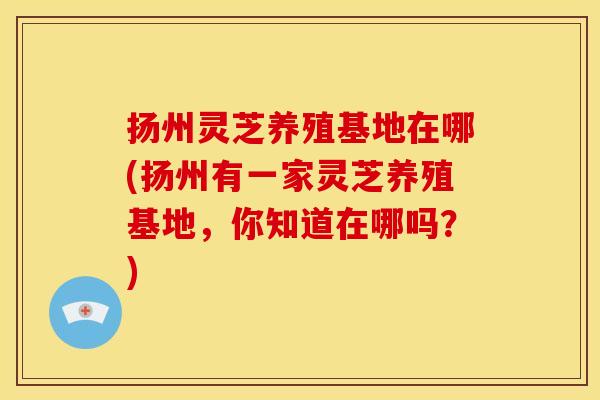 扬州灵芝养殖基地在哪(扬州有一家灵芝养殖基地，你知道在哪吗？)