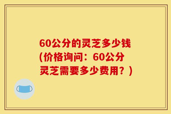 60公分的灵芝多少钱(价格询问:60公分灵芝需要多少费用?)