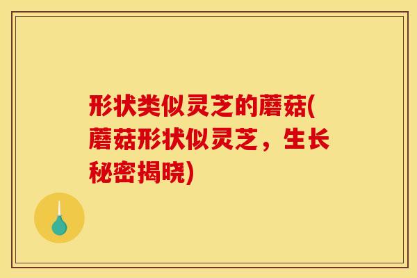 形状类似灵芝的蘑菇(蘑菇形状似灵芝,生长秘密揭晓)