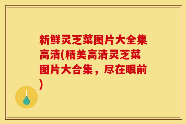 新鲜灵芝菜图片大全集高清(精美高清灵芝菜图片大合集,尽在眼前)