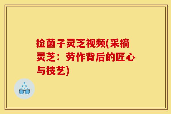 捡菌子灵芝视频(采摘灵芝:劳作背后的匠心与技艺)